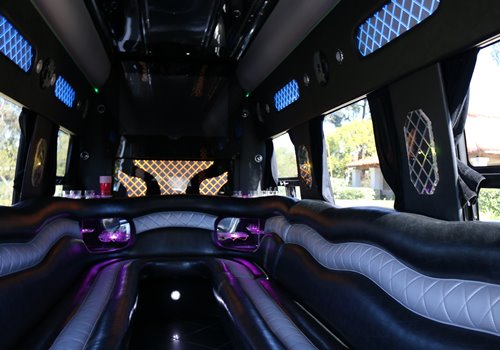 Sprinter Van Party Bus interior